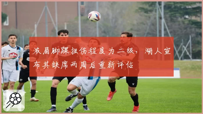浓眉脚踝扭伤程度为二级，湖人宣布其缺席两周后重新评估