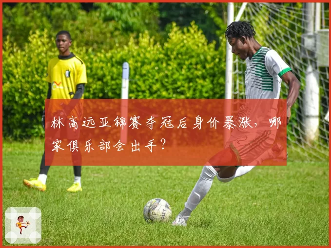 林高远亚锦赛夺冠后身价暴涨,哪家俱乐部会出手?