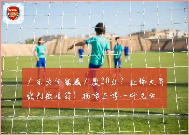 广东为何能赢广厦20分？杜锋大骂裁判被追罚！杨鸣王博一针见血