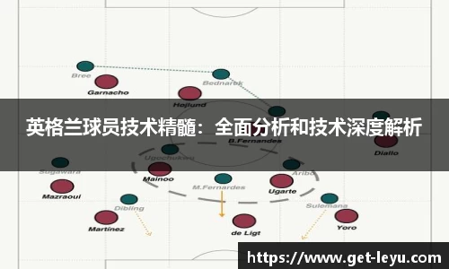 乐鱼体育官网